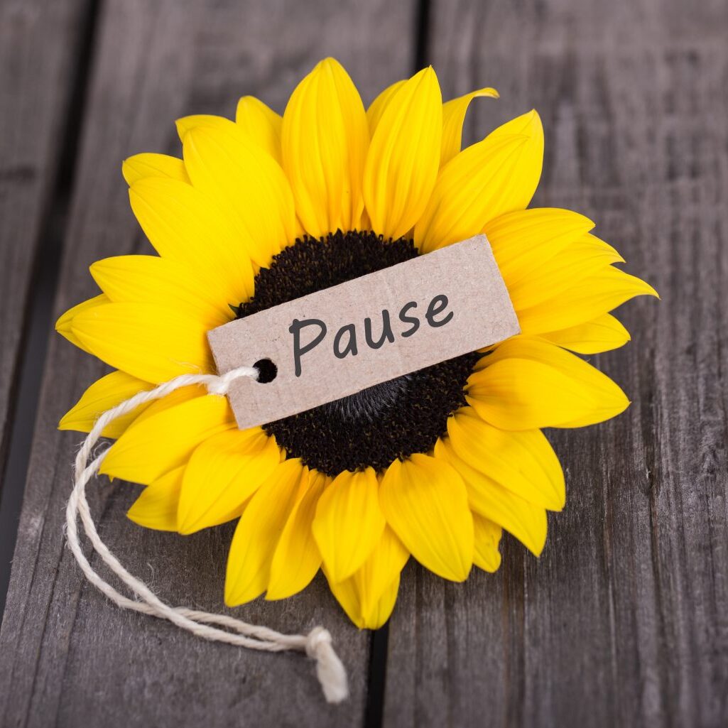 mach mal pause Sunflower and Pause note